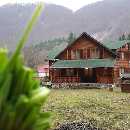 Krokusz Kulcsoshaz - Boga Pietroasa (Bihor)