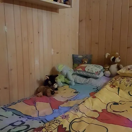 Krokusz Kulcsoshaz - Boga Pietroasa (Bihor)